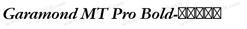 Garamond MT Pro Bold字体转换